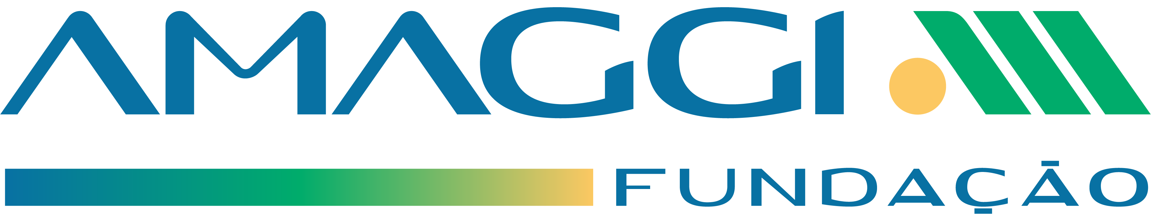 FALM - Fundação André e Lucia Maggi